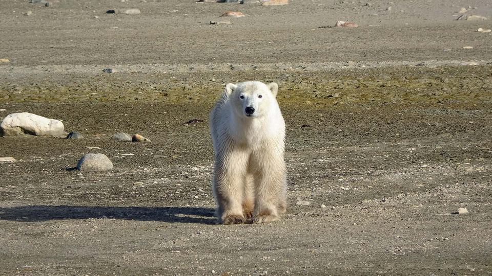 Churchill Manitoba Oct 2023 38